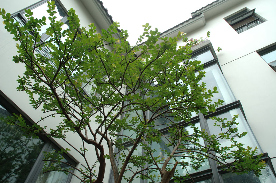 清華坊瀚園傳統中式裝修效果圖