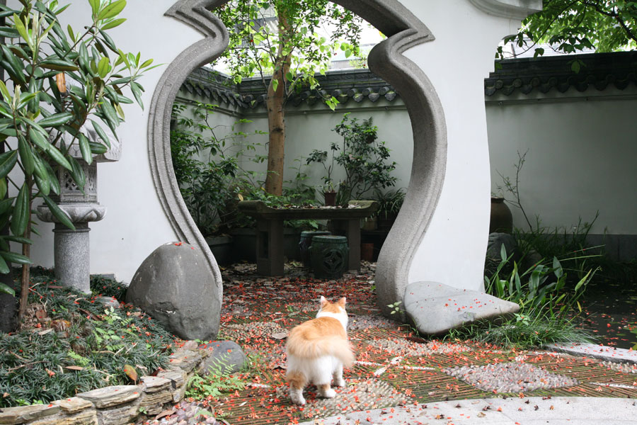 清華坊瀚園傳統中式裝修效果圖