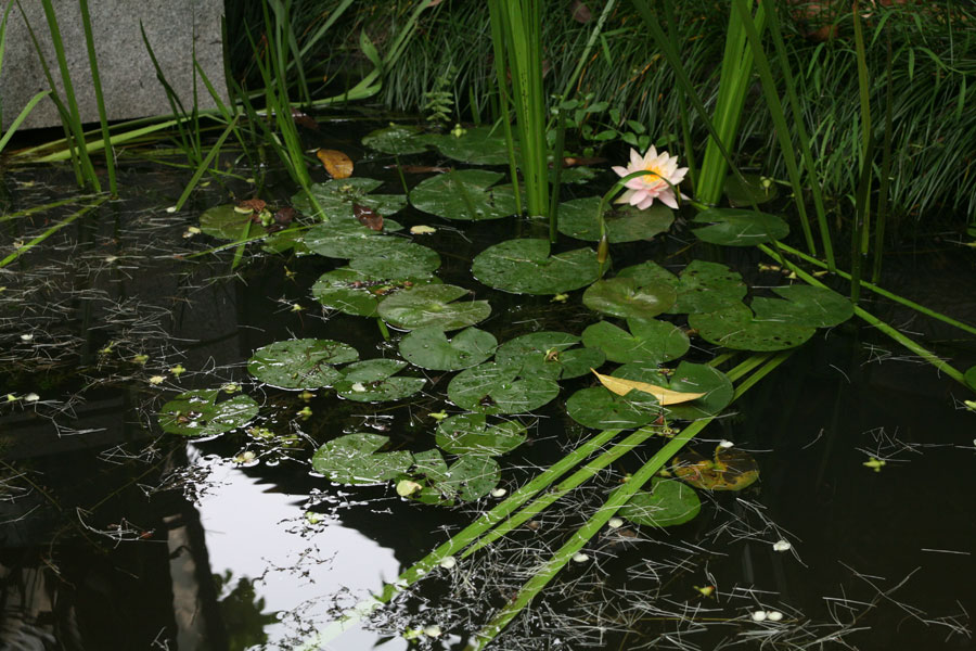 清華坊瀚園傳統中式裝修效果圖