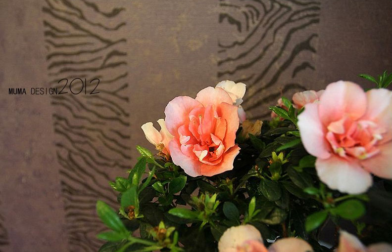 茶花閣 云錦美地