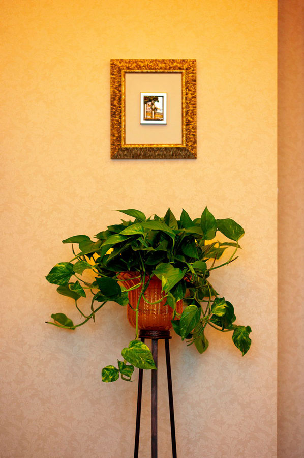 醉在茶鄉(xiāng)夢 東方情韻 寧波碧水華庭