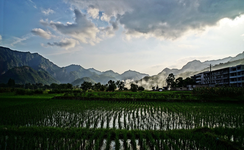 回歸簡單的自然理想 溫州悅庭楠舍精品酒店