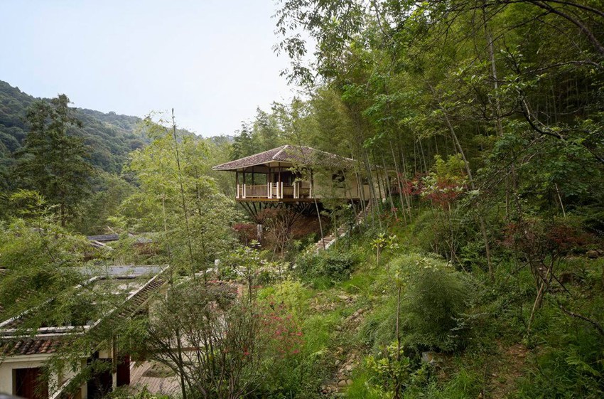 廣東惠州南昆山十字水 竹別墅生態度假村