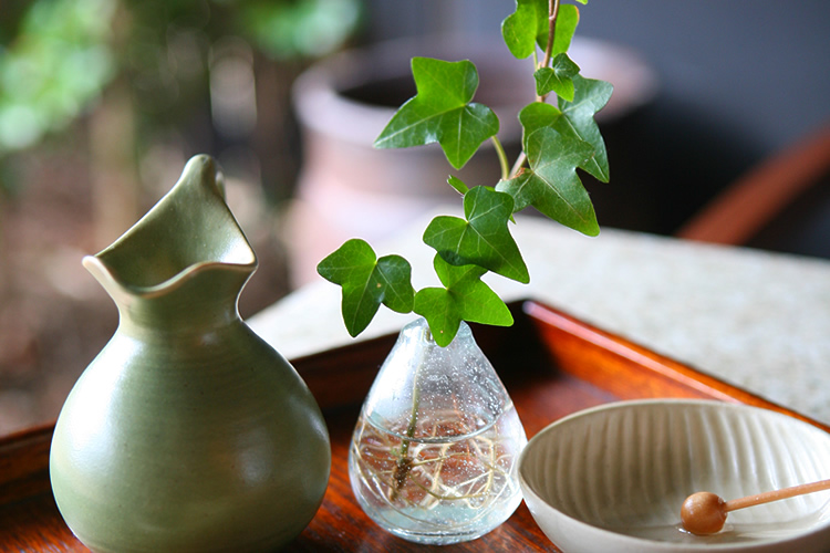 體驗私人的自由感覺 日本阿蘇瀬之本溫泉旅館